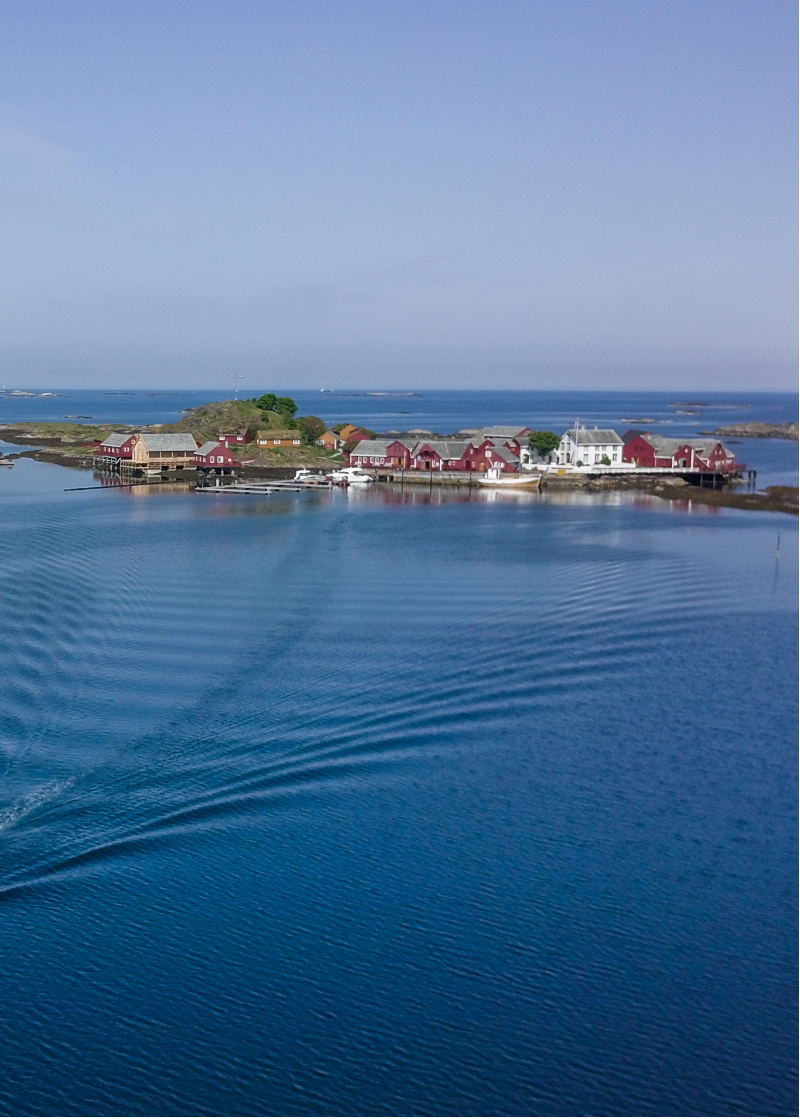 Den klassiske fjordturen - Håholmen Vikingskipet
