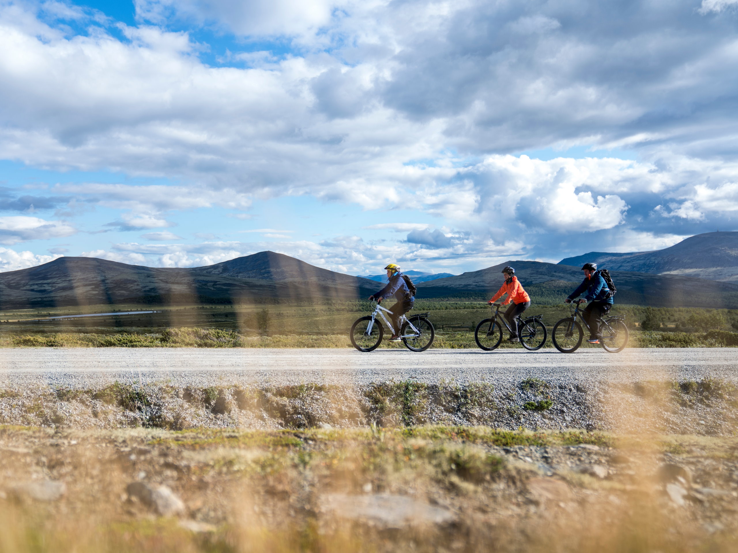 tour-de-dovre-national-park-bicycle-package-norway-by-bike
