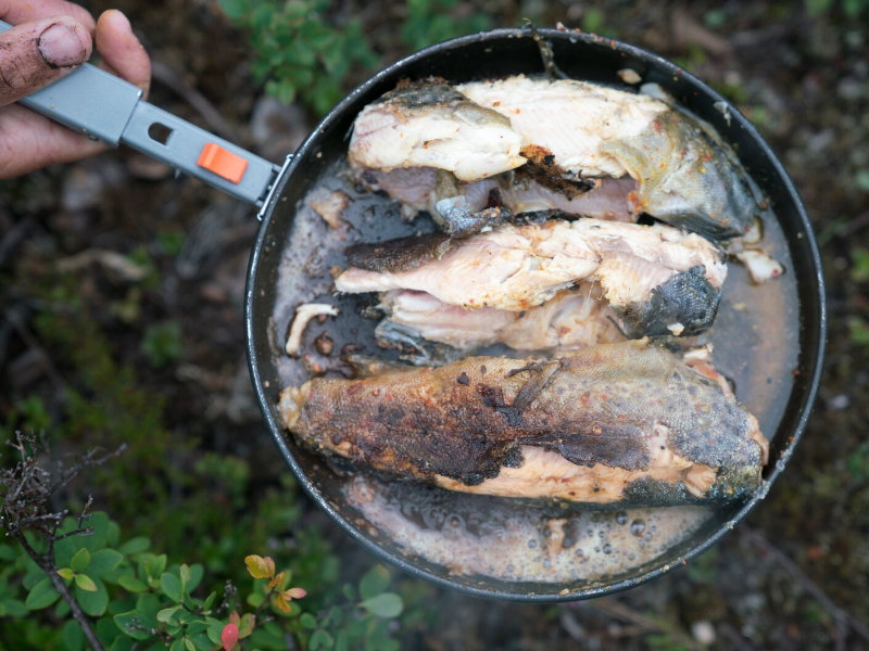 5-Pan fried trout-Alexander Benjaminsen - VisitNorway.com