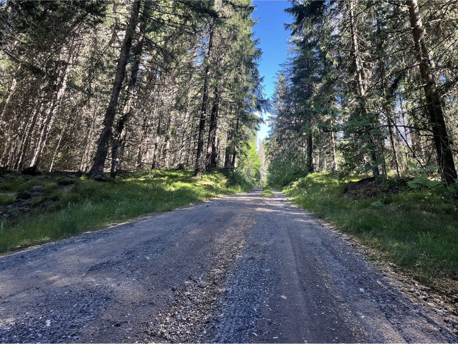 Historical Eidsvoll and Vast Forests on Gravel Roads