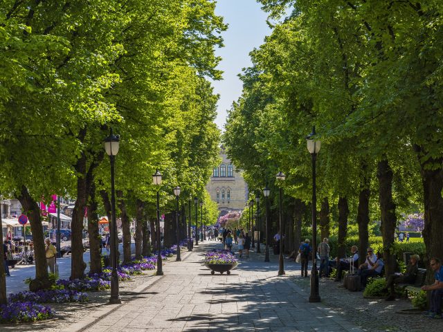 The main street in Oslo - Karl Johans gate-Didrick Stenersen - VisitOslo - norway-by-bike