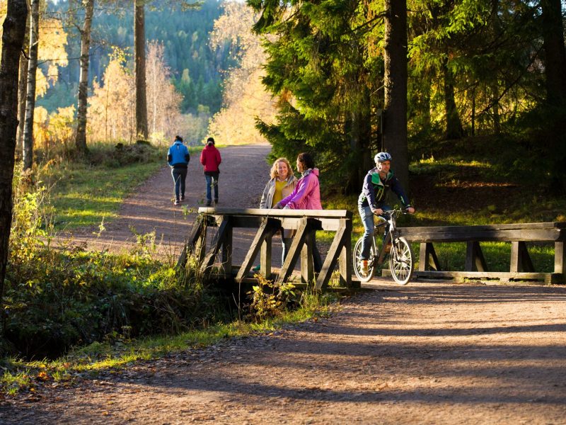 bike-in-oslo-and-discover-the-nature-norway-by-bike